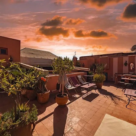 Riad Lauriers Blancs-2